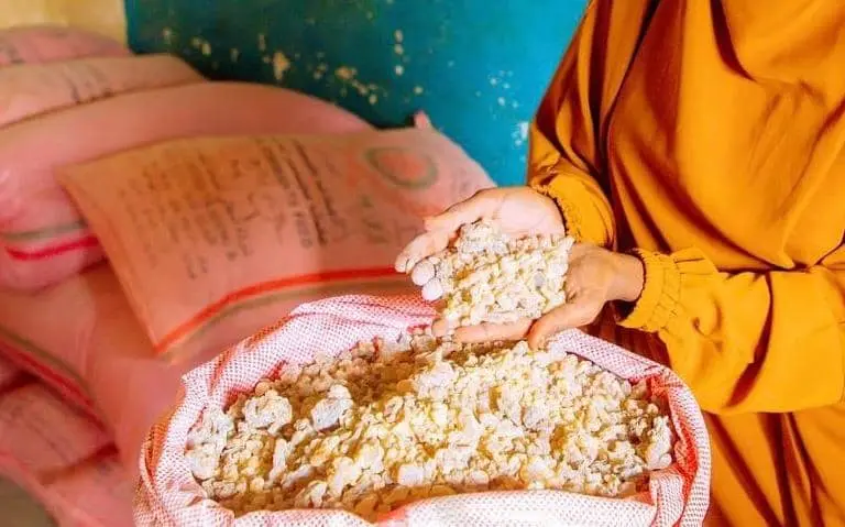 frankincense hands package